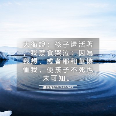 Picture 05 - 撒 母 耳 記 下 12:22 CUVT - 大 衛 說 ： 孩 子 還 活 著 ， 我 禁 - Bible Verse Picture