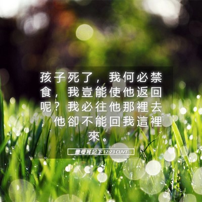 Picture 05 - 撒 母 耳 記 下 12:23 CUVT - 孩 子 死 了 ， 我 何 必 禁 食 ， 我 - Bible Verse Picture