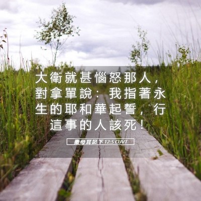 Picture 05 - 撒 母 耳 記 下 12:5 CUVT - 大 衛 就 甚 惱 怒 那 人 ， 對 拿 單 - Bible Verse Picture