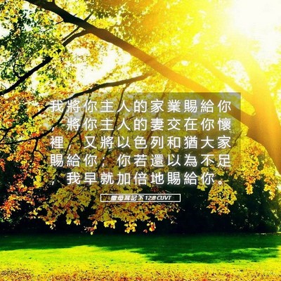 Picture 05 - 撒 母 耳 記 下 12:8 CUVT - 我 將 你 主 人 的 家 業 賜 給 你 ， - Bible Verse Picture