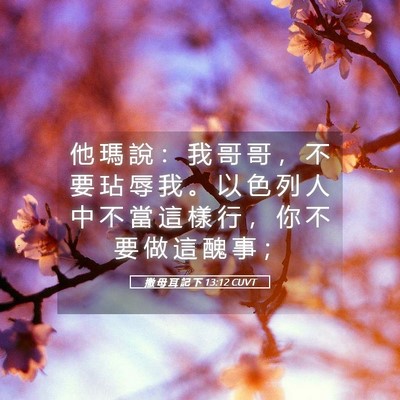 Picture 05 - 撒 母 耳 記 下 13:12 CUVT - 他 瑪 說 ： 我 哥 哥 ， 不 要 玷 辱 - Bible Verse Picture