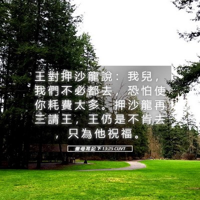 Picture 05 - 撒 母 耳 記 下 13:25 CUVT - 王 對 押 沙 龍 說 ： 我 兒 ， 我 們 - Bible Verse Picture