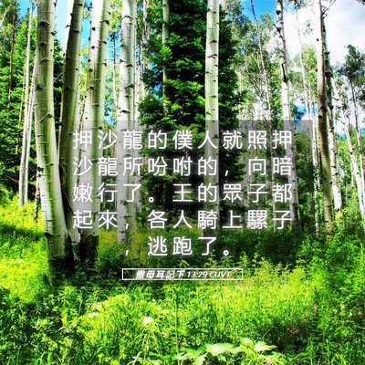Picture 05 - 撒 母 耳 記 下 13:29 CUVT - 押 沙 龍 的 僕 人 就 照 押 沙 龍 所 - Bible Verse Picture