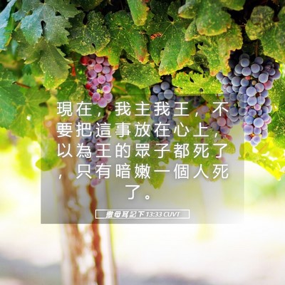 Picture 05 - 撒 母 耳 記 下 13:33 CUVT - 現 在 ， 我 主 我 王 ， 不 要 把 這 - Bible Verse Picture
