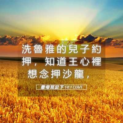 Picture 05 - 撒 母 耳 記 下 14:1 CUVT - 洗 魯 雅 的 兒 子 約 押 ， 知 道 王 - Bible Verse Picture