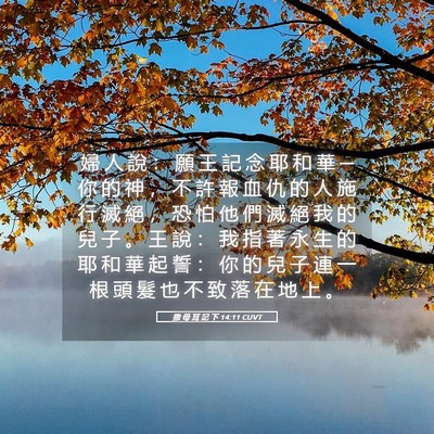 Picture 05 - 撒 母 耳 記 下 14:11 CUVT - 婦 人 說 ： 願 王 記 念 耶 和 華 ─ - Bible Verse Picture