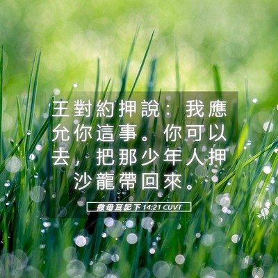 Picture 05 - 撒 母 耳 記 下 14:21 CUVT - 王 對 約 押 說 ： 我 應 允 你 這 事 - Bible Verse Picture