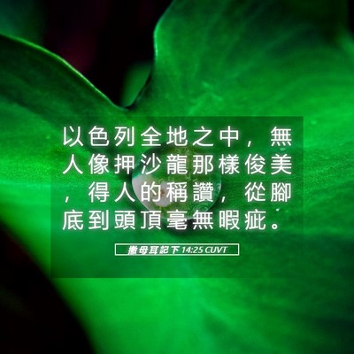 Picture 05 - 撒 母 耳 記 下 14:25 CUVT - 以 色 列 全 地 之 中 ， 無 人 像 押 - Bible Verse Picture