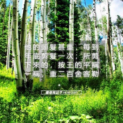 Picture 05 - 撒 母 耳 記 下 14:26 CUVT - 他 的 頭 髮 甚 重 ， 每 到 年 底 剪 - Bible Verse Picture