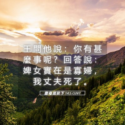 Picture 05 - 撒 母 耳 記 下 14:5 CUVT - 王 問 他 說 ： 你 有 甚 麼 事 呢 ？ - Bible Verse Picture