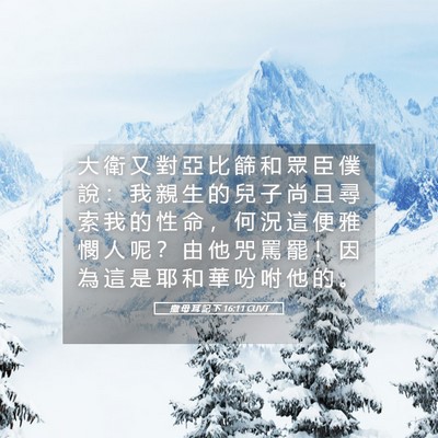 Picture 05 - 撒 母 耳 記 下 16:11 CUVT - 大 衛 又 對 亞 比 篩 和 眾 臣 僕 說 - Bible Verse Picture