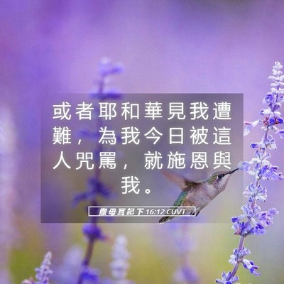 Picture 05 - 撒 母 耳 記 下 16:12 CUVT - 或 者 耶 和 華 見 我 遭 難 ， 為 我 - Bible Verse Picture