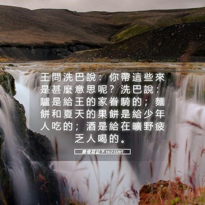 Picture 05 - 撒 母 耳 記 下 16:2 CUVT - 王 問 洗 巴 說 ： 你 帶 這 些 來 是 - Bible Verse Picture