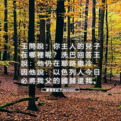 Picture 05 - 撒 母 耳 記 下 16:3 CUVT - 王 問 說 ： 你 主 人 的 兒 子 在 哪 - Bible Verse Picture