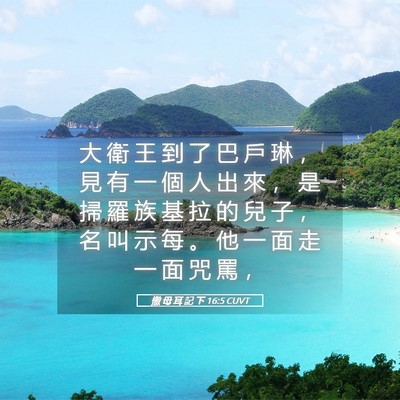 Picture 05 - 撒 母 耳 記 下 16:5 CUVT - 大 衛 王 到 了 巴 戶 琳 ， 見 有 一 - Bible Verse Picture