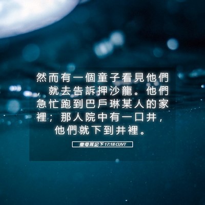 Picture 05 - 撒 母 耳 記 下 17:18 CUVT - 然 而 有 一 個 童 子 看 見 他 們 ， - Bible Verse Picture