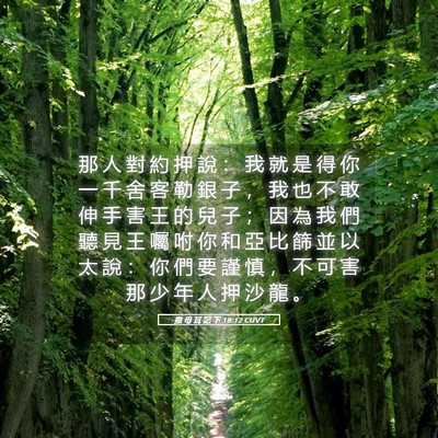 Picture 05 - 撒 母 耳 記 下 18:12 CUVT - 那 人 對 約 押 說 ： 我 就 是 得 你 - Bible Verse Picture