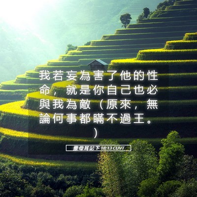 Picture 05 - 撒 母 耳 記 下 18:13 CUVT - 我 若 妄 為 害 了 他 的 性 命 ， 就 - Bible Verse Picture