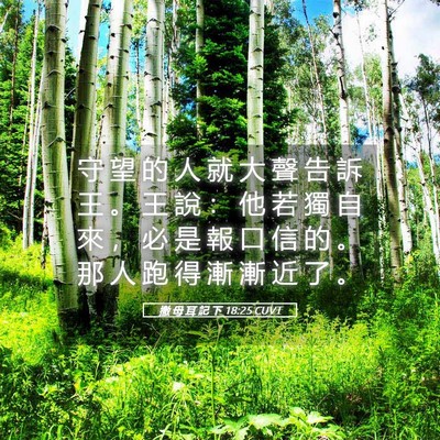 Picture 05 - 撒 母 耳 記 下 18:25 CUVT - 守 望 的 人 就 大 聲 告 訴 王 。 王 - Bible Verse Picture