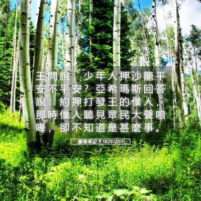 Picture 05 - 撒 母 耳 記 下 18:29 CUVT - 王 問 說 ： 少 年 人 押 沙 龍 平 安 - Bible Verse Picture