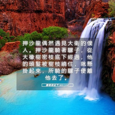 Picture 05 - 撒 母 耳 記 下 18:9 CUVT - 押 沙 龍 偶 然 遇 見 大 衛 的 僕 人 - Bible Verse Picture