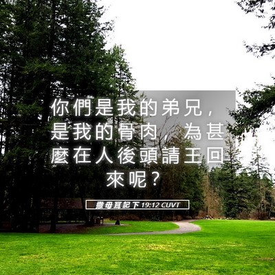 Picture 05 - 撒 母 耳 記 下 19:12 CUVT - 你 們 是 我 的 弟 兄 ， 是 我 的 骨 - Bible Verse Picture
