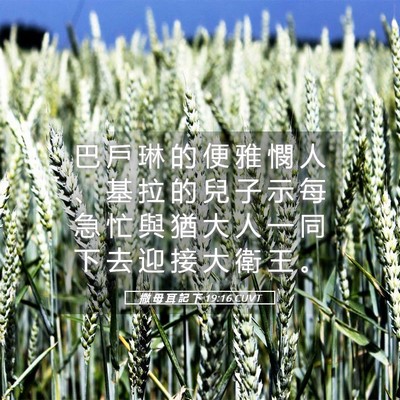 Picture 05 - 撒 母 耳 記 下 19:16 CUVT - 巴 戶 琳 的 便 雅 憫 人 、 基 拉 的 - Bible Verse Picture