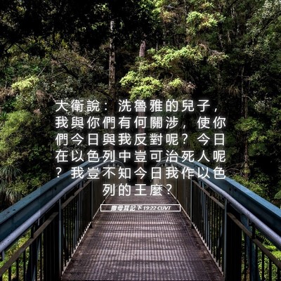 Picture 05 - 撒 母 耳 記 下 19:22 CUVT - 大 衛 說 ： 洗 魯 雅 的 兒 子 ， 我 - Bible Verse Picture
