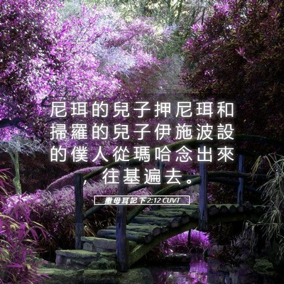 Picture 05 - 撒 母 耳 記 下 2:12 CUVT - 尼 珥 的 兒 子 押 尼 珥 和 掃 羅 的 - Bible Verse Picture