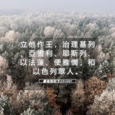 Picture 05 - 撒 母 耳 記 下 2:9 CUVT - 立 他 作 王 ， 治 理 基 列 、 亞 書 - Bible Verse Picture