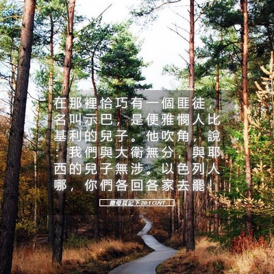Picture 05 - 撒 母 耳 記 下 20:1 CUVT - 在 那 裡 恰 巧 有 一 個 匪 徒 ， 名 - Bible Verse Picture