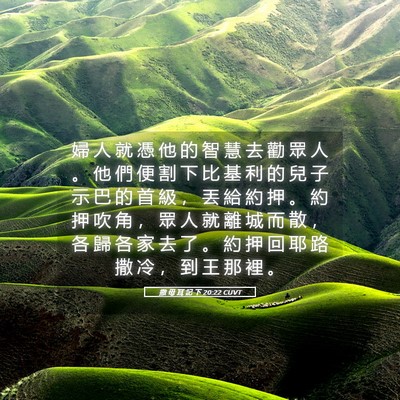 Picture 05 - 撒 母 耳 記 下 20:22 CUVT - 婦 人 就 憑 他 的 智 慧 去 勸 眾 人 - Bible Verse Picture