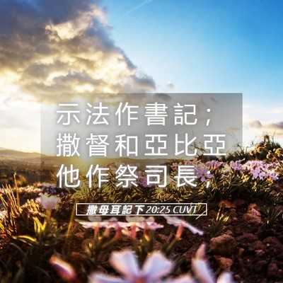 Picture 05 - 撒 母 耳 記 下 20:25 CUVT - 示 法 作 書 記 ； 撒 督 和 亞 比 亞 - Bible Verse Picture