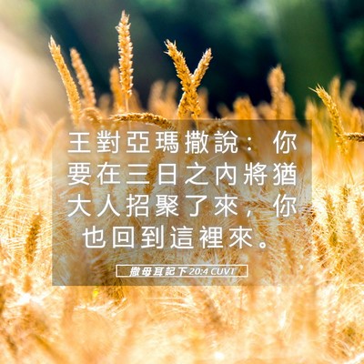 Picture 05 - 撒 母 耳 記 下 20:4 CUVT - 王 對 亞 瑪 撒 說 ： 你 要 在 三 日 - Bible Verse Picture