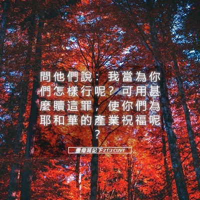 Picture 05 - 撒 母 耳 記 下 21:3 CUVT - 問 他 們 說 ： 我 當 為 你 們 怎 樣 - Bible Verse Picture