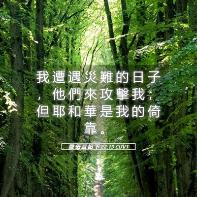 Picture 05 - 撒 母 耳 記 下 22:19 CUVT - 我 遭 遇 災 難 的 日 子 ， 他 們 來 - Bible Verse Picture