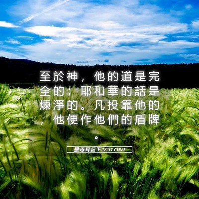 Picture 05 - 撒 母 耳 記 下 22:31 CUVT - 至 於 神 ， 他 的 道 是 完 全 的 ； - Bible Verse Picture