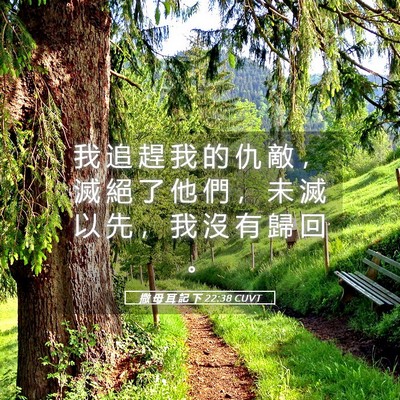 Picture 05 - 撒 母 耳 記 下 22:38 CUVT - 我 追 趕 我 的 仇 敵 ， 滅 絕 了 他 - Bible Verse Picture