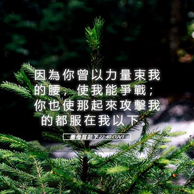 Picture 05 - 撒 母 耳 記 下 22:40 CUVT - 因 為 你 曾 以 力 量 束 我 的 腰 ， - Bible Verse Picture