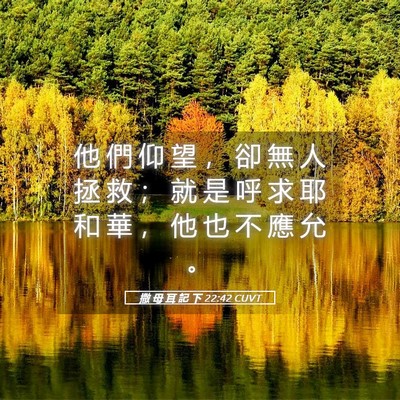 Picture 05 - 撒 母 耳 記 下 22:42 CUVT - 他 們 仰 望 ， 卻 無 人 拯 救 ； 就 - Bible Verse Picture