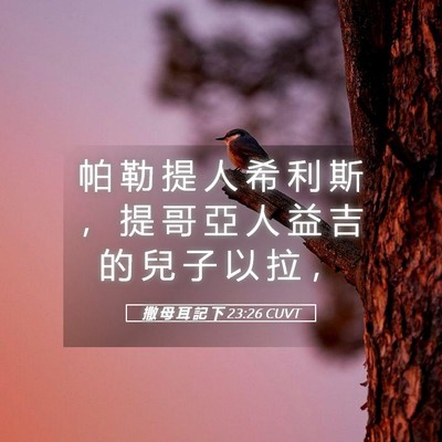 Picture 05 - 撒 母 耳 記 下 23:26 CUVT - 帕 勒 提 人 希 利 斯 ， 提 哥 亞 人 - Bible Verse Picture