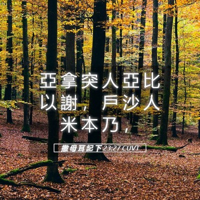 Picture 05 - 撒 母 耳 記 下 23:27 CUVT - 亞 拿 突 人 亞 比 以 謝 ， 戶 沙 人 - Bible Verse Picture