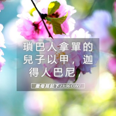 Picture 05 - 撒 母 耳 記 下 23:36 CUVT - 瑣 巴 人 拿 單 的 兒 子 以 甲 ， 迦 - Bible Verse Picture
