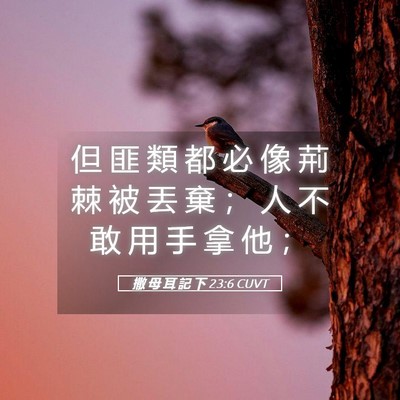 Picture 05 - 撒 母 耳 記 下 23:6 CUVT - 但 匪 類 都 必 像 荊 棘 被 丟 棄 ； - Bible Verse Picture