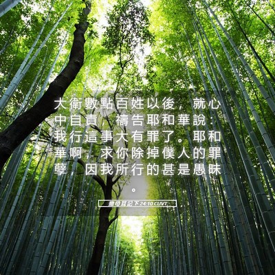 Picture 05 - 撒 母 耳 記 下 24:10 CUVT - 大 衛 數 點 百 姓 以 後 ， 就 心 中 - Bible Verse Picture