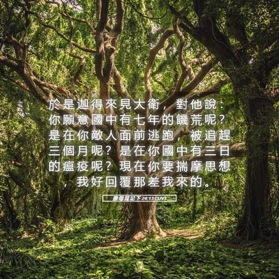 Picture 05 - 撒 母 耳 記 下 24:13 CUVT - 於 是 迦 得 來 見 大 衛 ， 對 他 說 - Bible Verse Picture