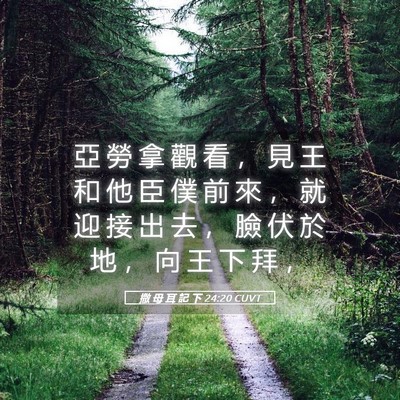 Picture 05 - 撒 母 耳 記 下 24:20 CUVT - 亞 勞 拿 觀 看 ， 見 王 和 他 臣 僕 - Bible Verse Picture