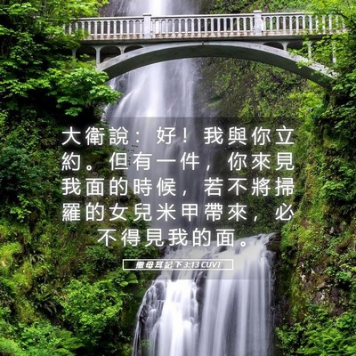 Picture 05 - 撒 母 耳 記 下 3:13 CUVT - 大 衛 說 ： 好 ！ 我 與 你 立 約 。 - Bible Verse Picture