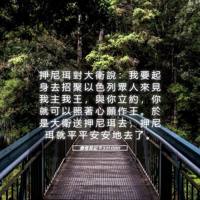 Picture 05 - 撒 母 耳 記 下 3:21 CUVT - 押 尼 珥 對 大 衛 說 ： 我 要 起 身 - Bible Verse Picture