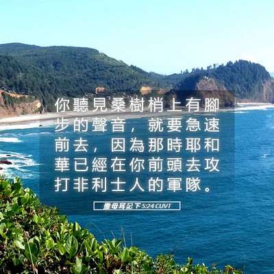 Picture 05 - 撒 母 耳 記 下 5:24 CUVT - 你 聽 見 桑 樹 梢 上 有 腳 步 的 聲 - Bible Verse Picture